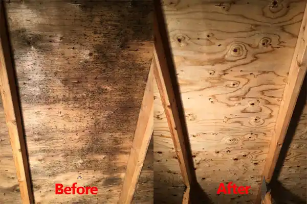 water damage restoration service Rockingham